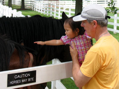 Petting the horses